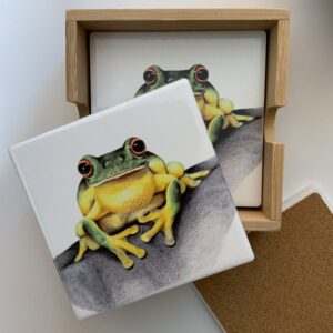 The Artist Lab - Ceramic Coaster 4 Set - Red - eyed Tree frog - The Inspirational Studio