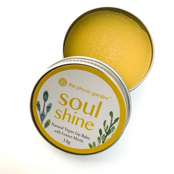 Soul Shine Lip Balm 14g - The Inspirational Studio 