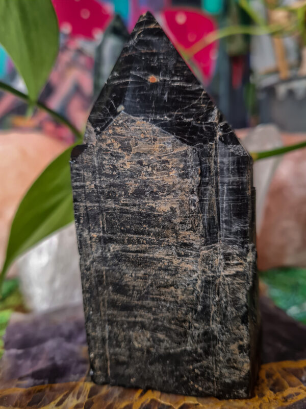 Black Tourmaline Point crystal - The Inspirational Studio