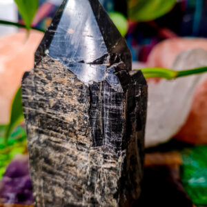 Black Tourmaline Point crystal - The Inspirational Studio