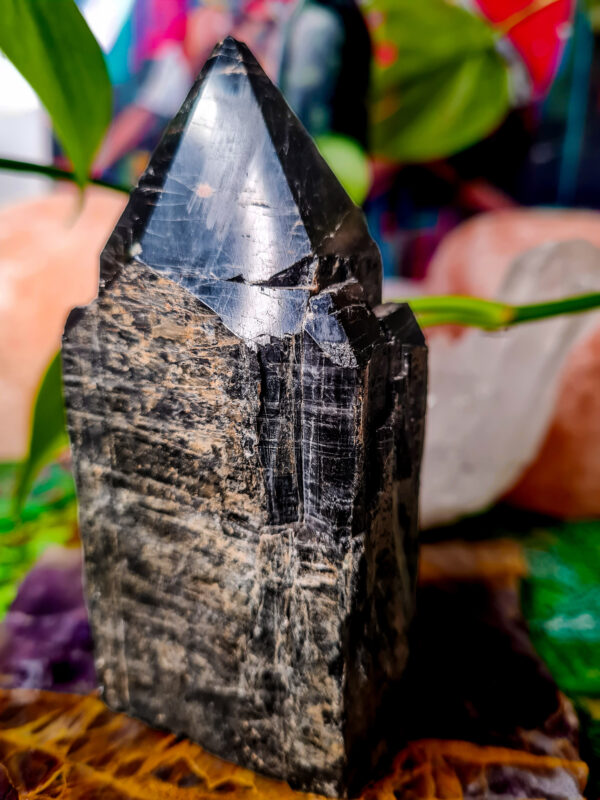 Black Tourmaline Point crystal - The Inspirational Studio