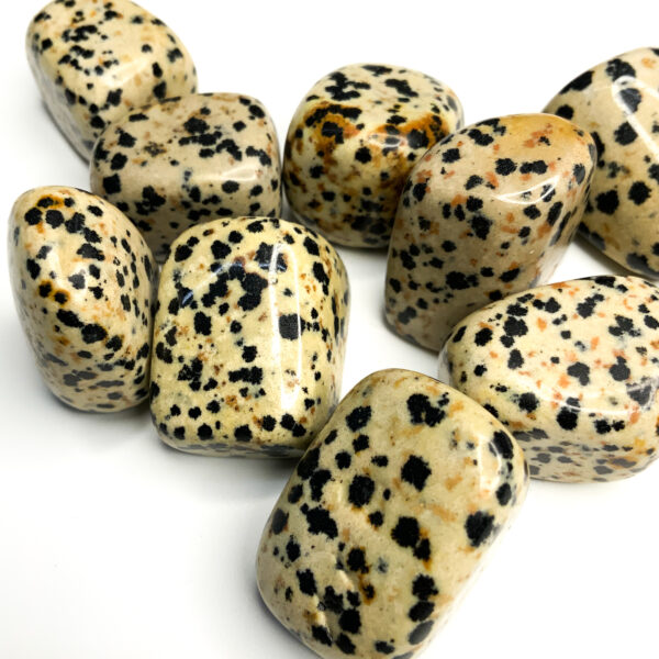 Dalmatian Jasper – Tumbled (each) - TheInspirational Studio