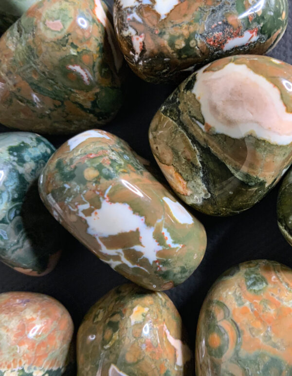 Australian Rainforest Jasper - Tumbled (each) The Inspirational Studio 