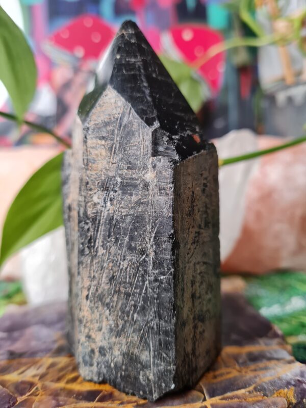 Black Tourmaline Point crystal - The Inspirational Studio